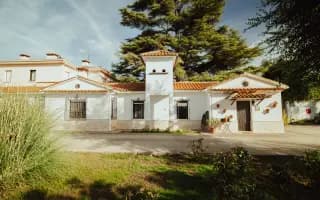 David ya no quiere sufrir. Ayudémosle a recuperar las ganas de vivir.
